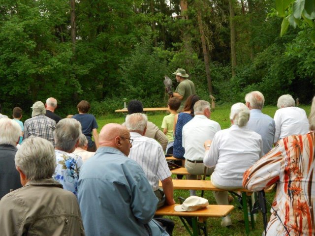 Sommerfest2017 (40)